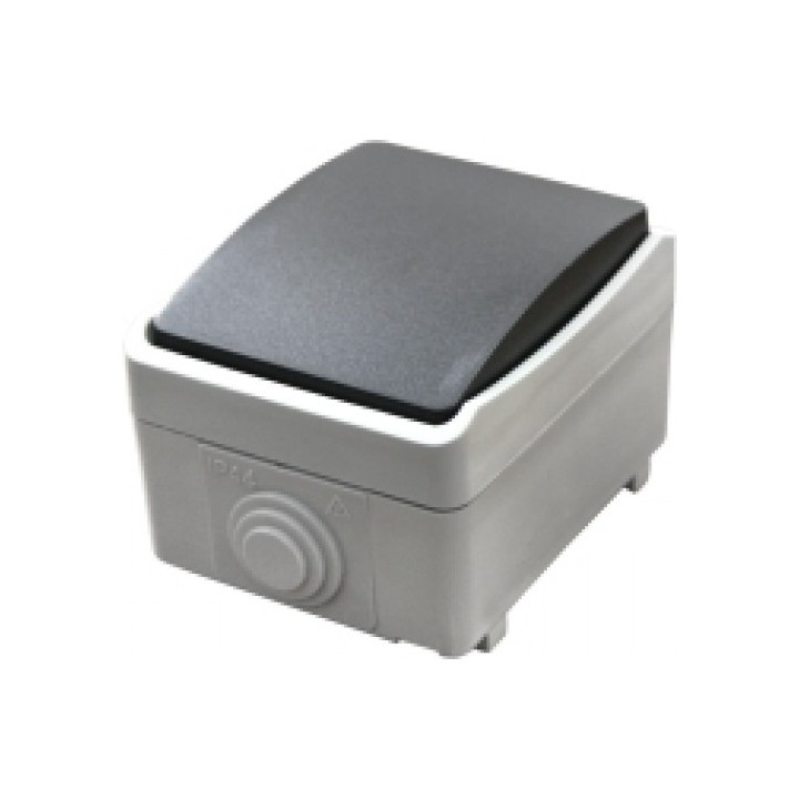 Διακόπτης στεγανός εξωτερικός απλός γκρί ΓΕΝΙΚΗΣ ΧΡΗΣΗΣ ΓΕΝΙΚΗΣ ΧΡΗΣΗΣ DY0013