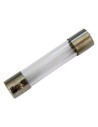 Ασφάλεια γυάλινη 6x30mm 20A ΓΕΝΙΚΗΣ ΧΡΗΣΗΣ ΓΕΝΙΚΗΣ ΧΡΗΣΗΣ AS6320
