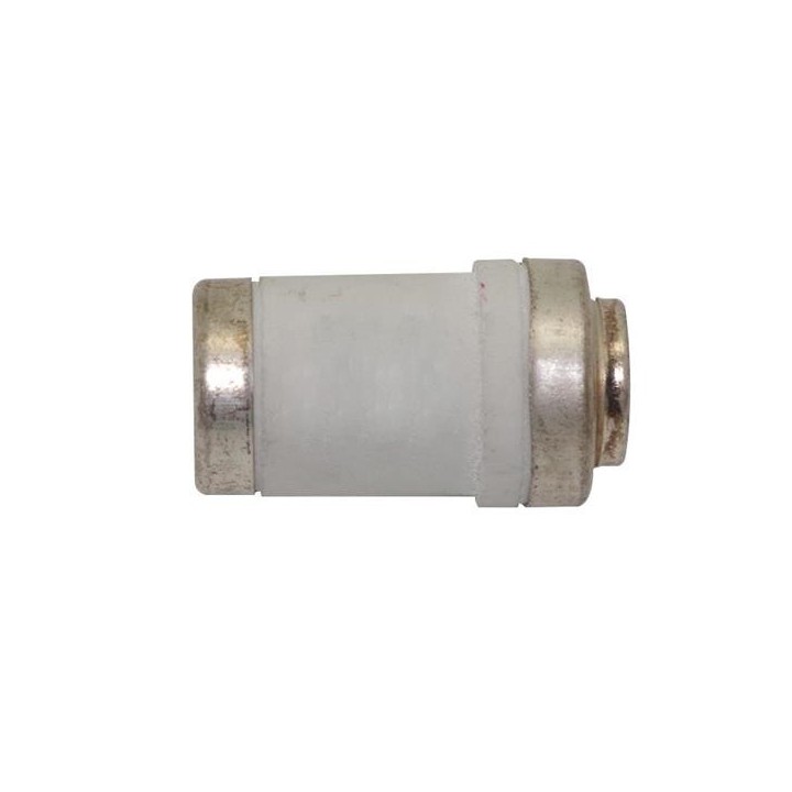 Ασφάλεια νεοζέτ 100A ΓΕΝΙΚΗΣ ΧΡΗΣΗΣ ΓΕΝΙΚΗΣ ΧΡΗΣΗΣ ASF0011