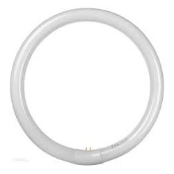 Λάμπα φθορίου κυκλική L32W/865 6500K 2000lm OSRAM OSRAM FCL0002
