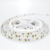 LED strip 5M 16W 24V 4000K IP20 EUROLAMP
