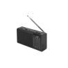 Portable radio and speaker with black LTC flashlight