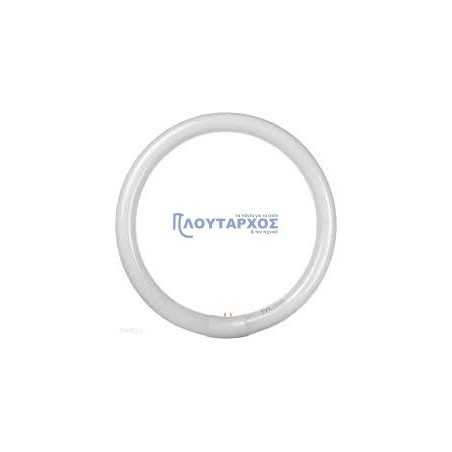 Λάμπα φθορίου κυκλική L32W/865 6500K 2000lm EUROLAMP EUROLAMP 147-88636