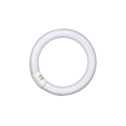 Λάμπα φθορίου κυκλική L40W/865 6500K 2800lm PHILIPS PHILIPS FCL0001PH