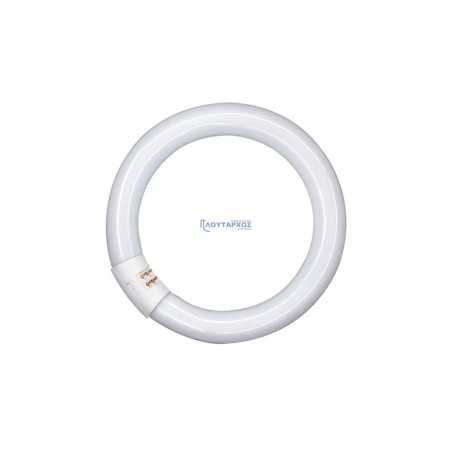 Λάμπα φθορίου κυκλική L40W/865 6500K 2800lm PHILIPS PHILIPS FCL0001PH