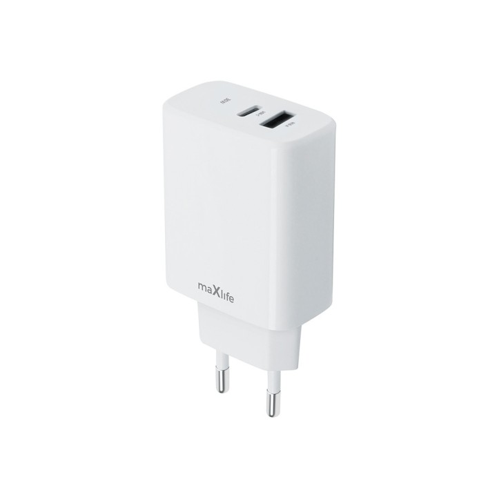 Universal USB 2.1A dual charger in white color GENERAL USE