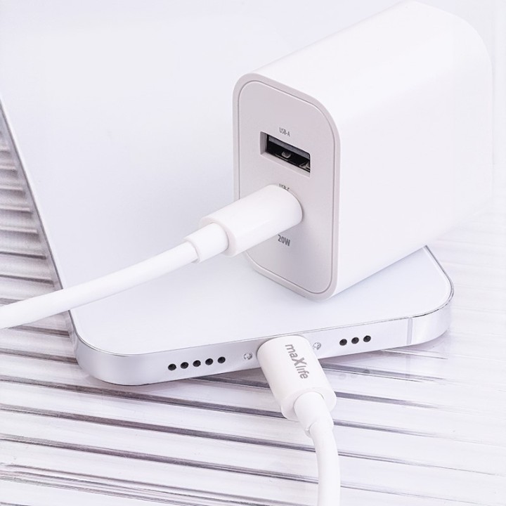 Universal USB 2.1A dual charger in white color GENERAL USE
