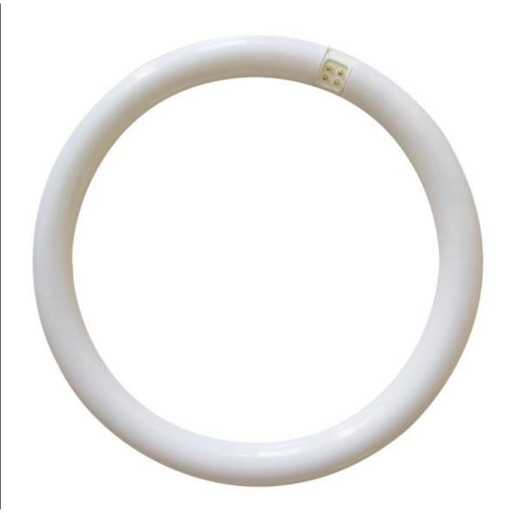 EUROLAMP Λάμπα φθορίου κυκλική L32W/865 6500K 2000lm EUROLAMP 147-8...