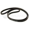 Ιμάντας ραβδωτός πλυντηρίου ρούχων 1242 J5 WHIRLPOOL PRIMJ0054
