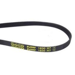 Ιμάντας ραβδωτός στεγνωτηρίου ρούχων 1830 Η7