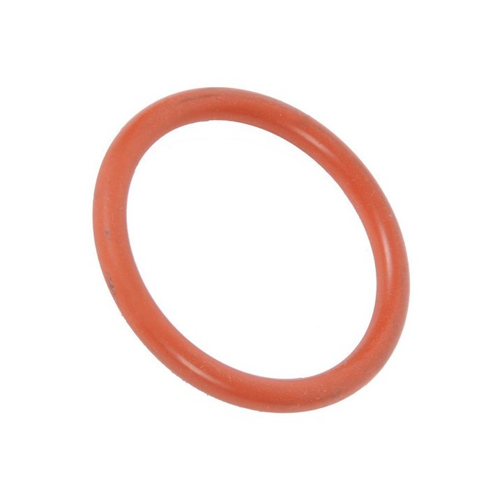 Φλάντζα στεγανοποίησης εμβόλου καφετιέρας DELONGHI original