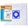 Vacuum cleaner bag AEG/DAEWOO/DELONGHI/FAKIR